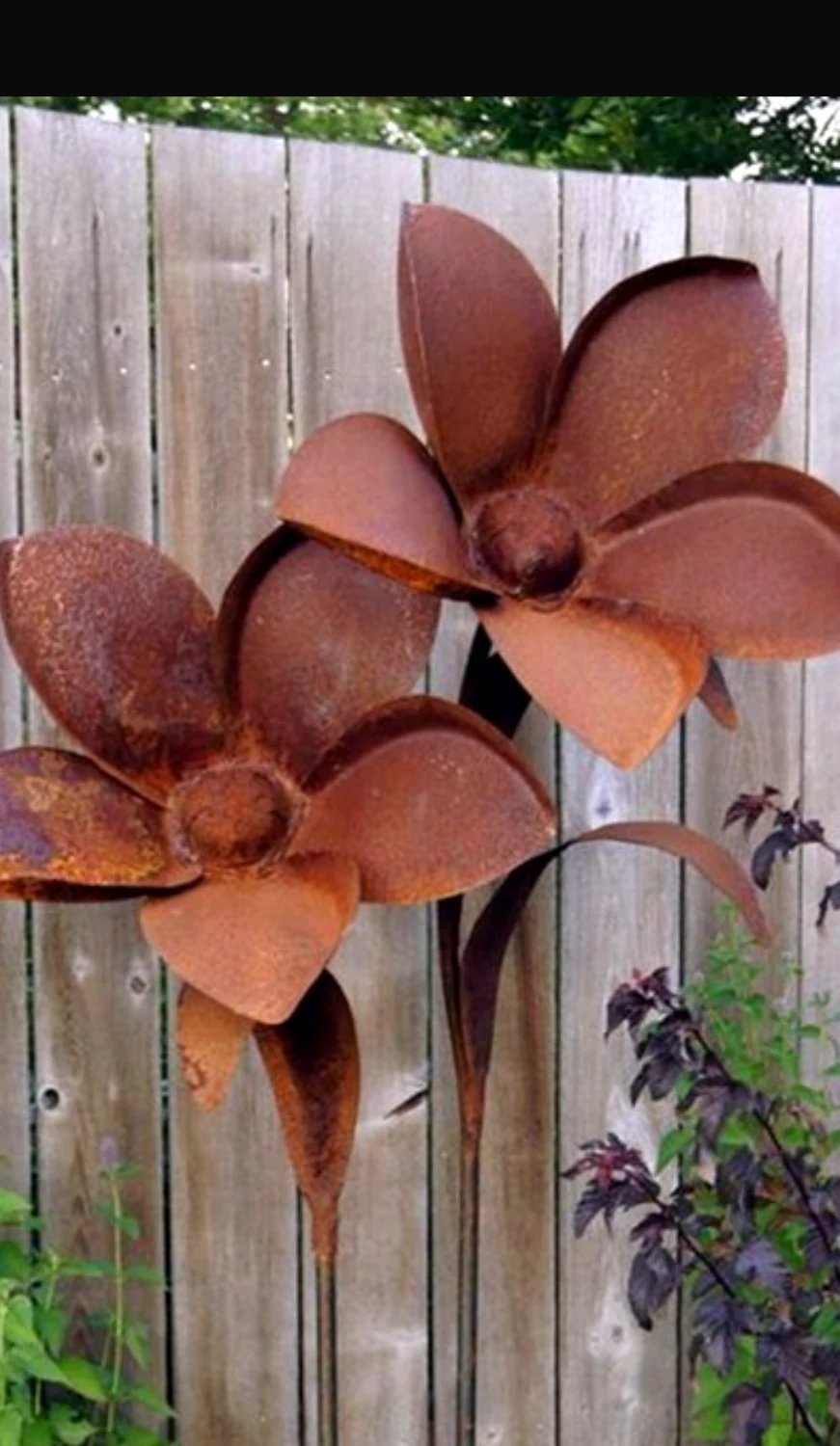 Large rust-colored metal blooms in front of a fence